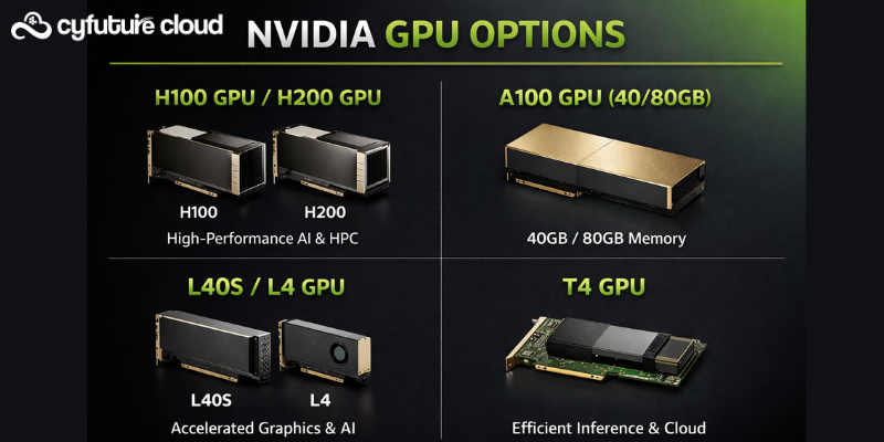 NVIDIA GPU Cloud Server Options